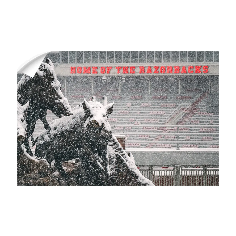 Arkansas Razorbacks - Snow Storm at the Home of the Razorbacks