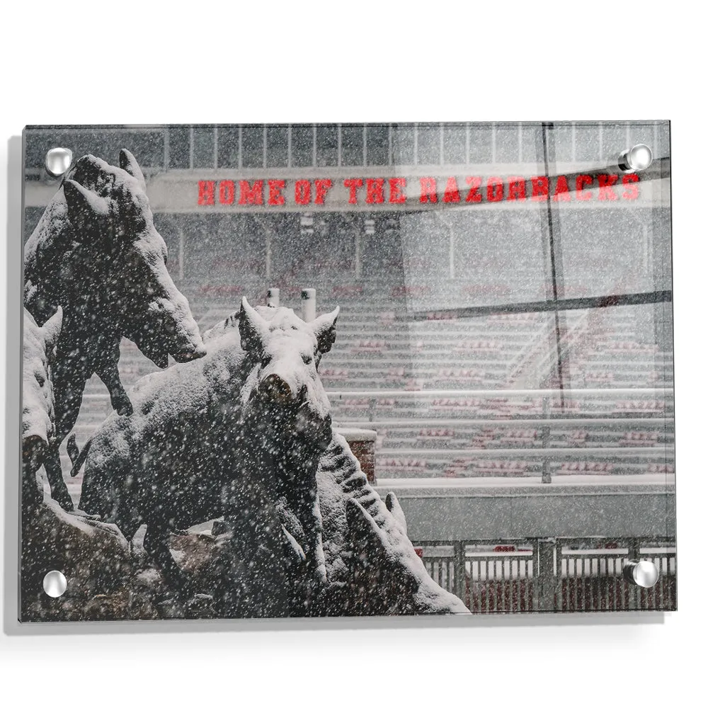 Arkansas Razorbacks - Snow Storm at the Home of the Razorbacks