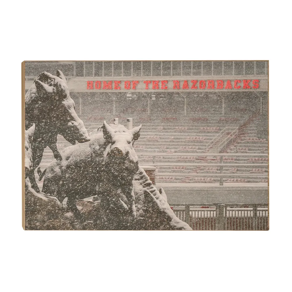 Arkansas Razorbacks - Snow Storm at the Home of the Razorbacks