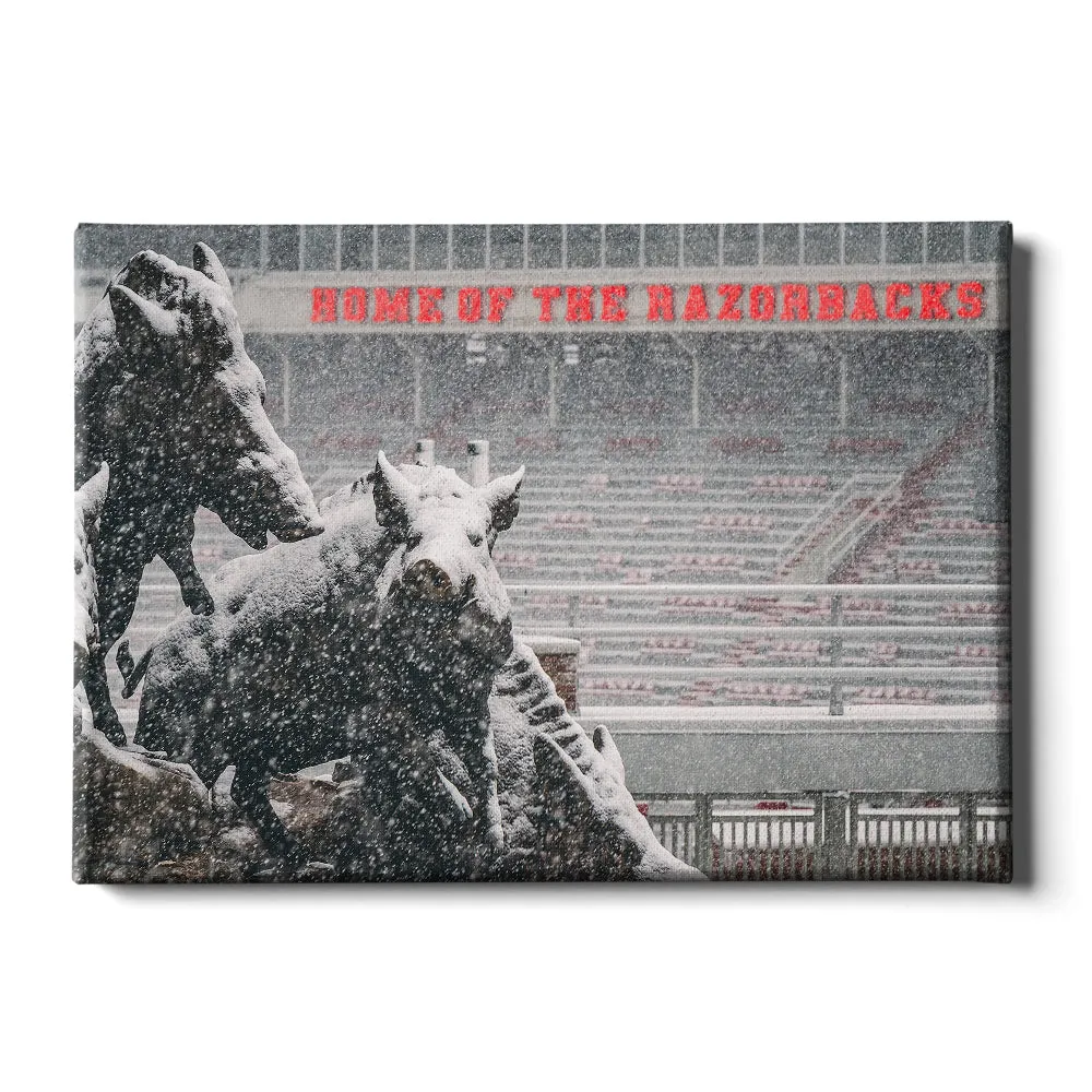 Arkansas Razorbacks - Snow Storm at the Home of the Razorbacks