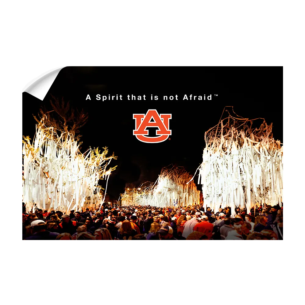 Auburn Tigers - A Spirit that is not Afraid