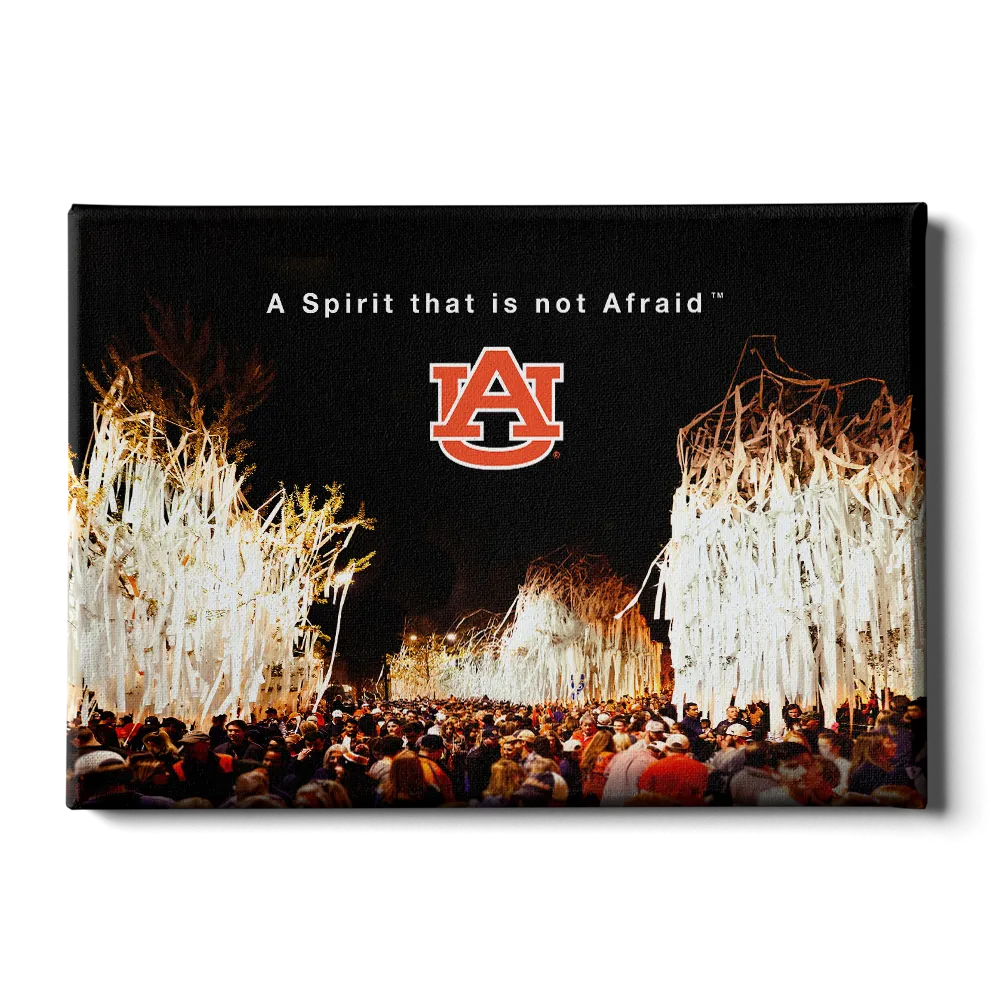 Auburn Tigers - A Spirit that is not Afraid