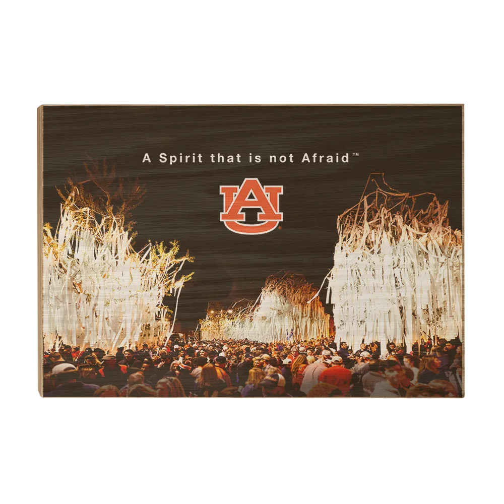 Auburn Tigers - A Spirit that is not Afraid