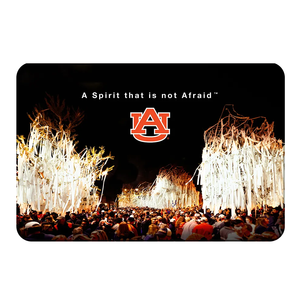 Auburn Tigers - A Spirit that is not Afraid