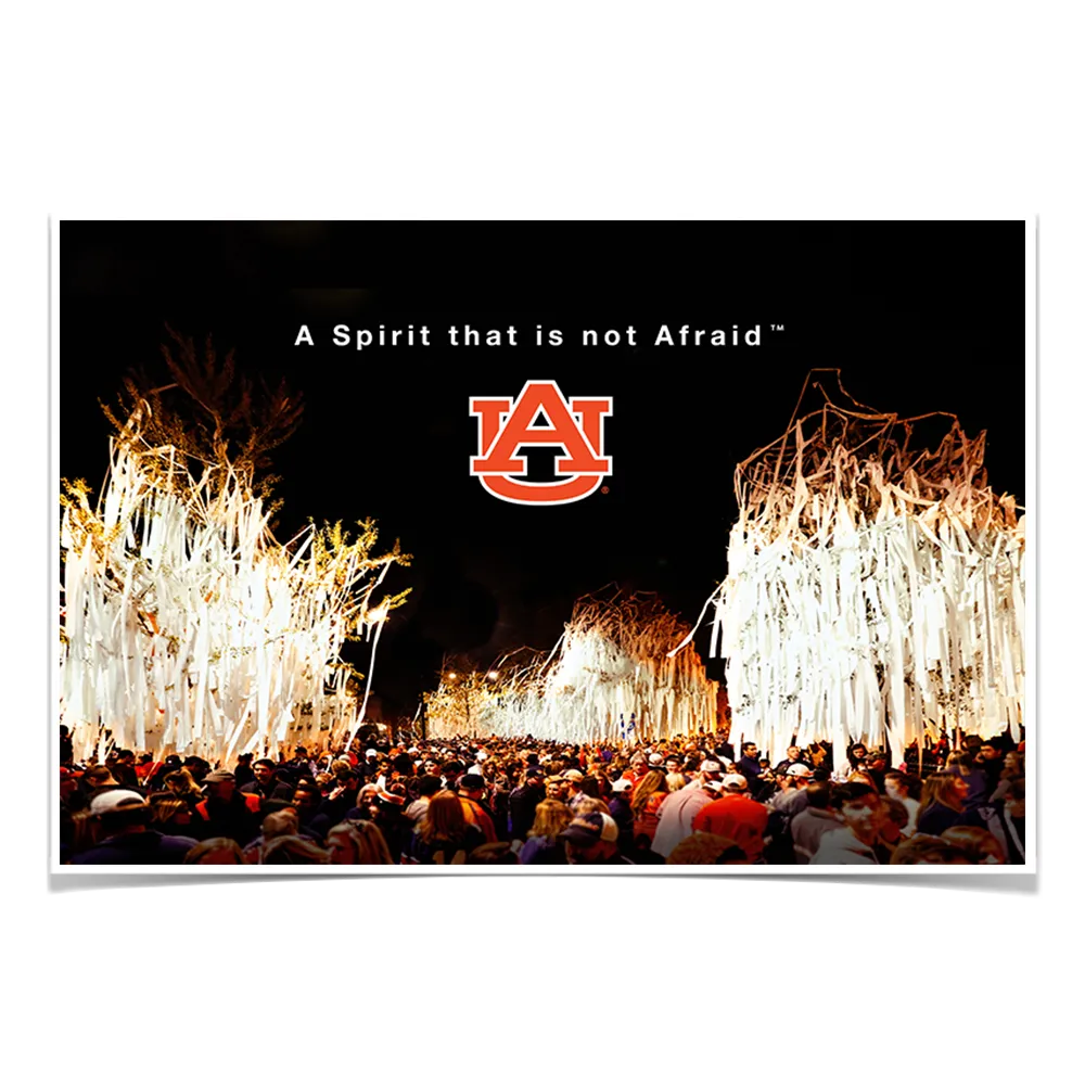 Auburn Tigers - A Spirit that is not Afraid