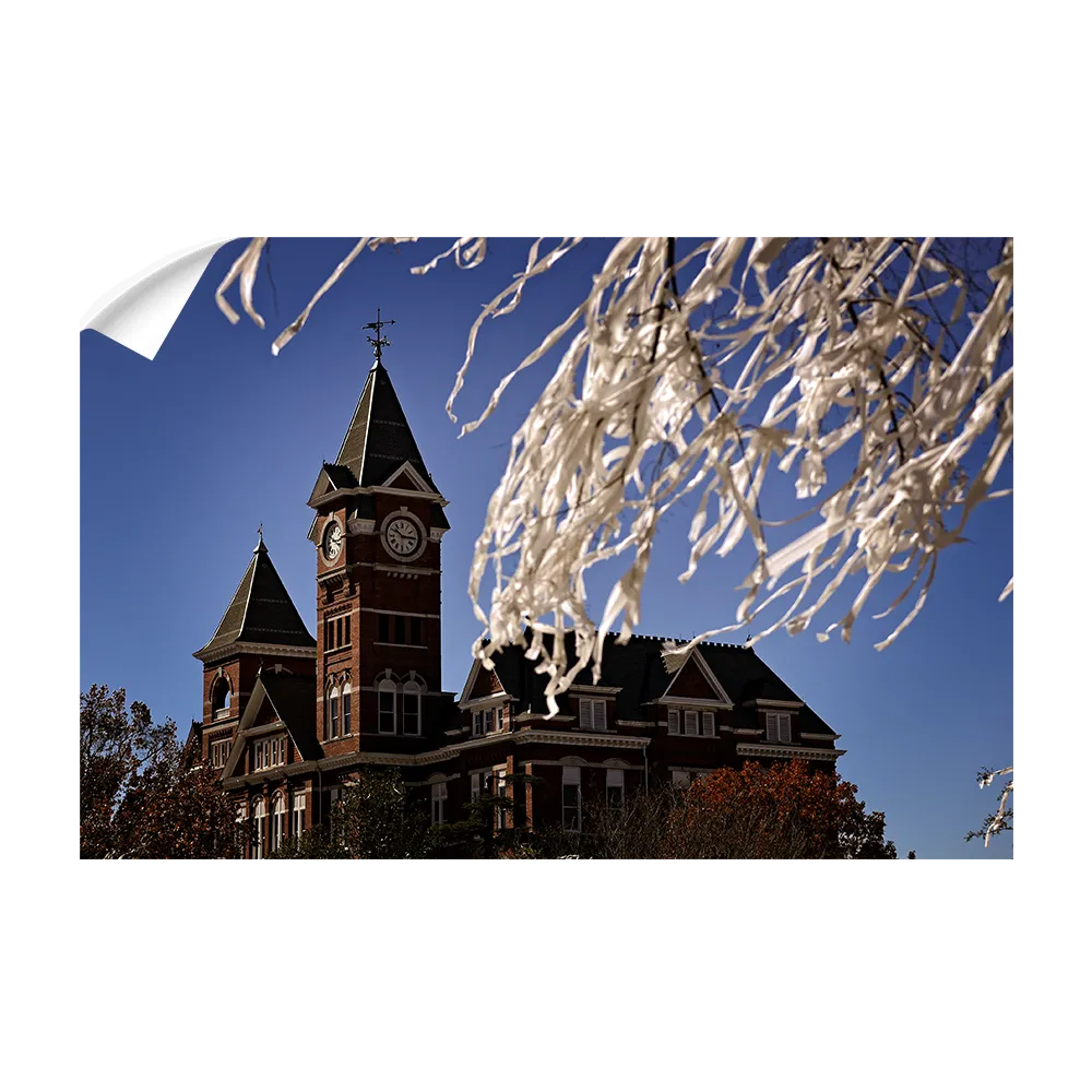 Auburn Tigers - Samford Toomers