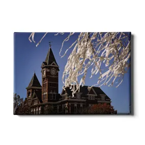 Auburn Tigers - Samford Toomers