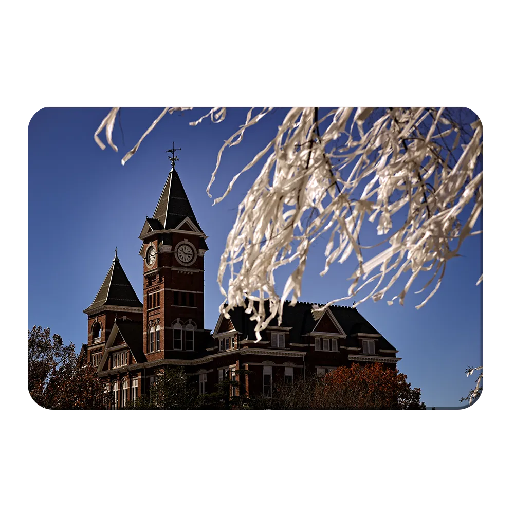 Auburn Tigers - Samford Toomers