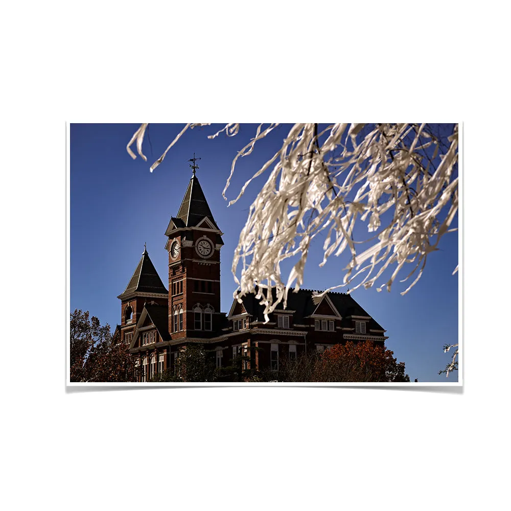 Auburn Tigers - Samford Toomers