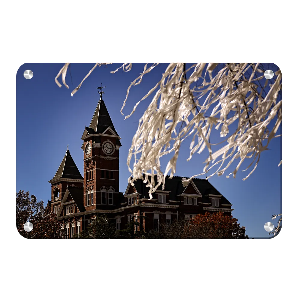 Auburn Tigers - Samford Toomers