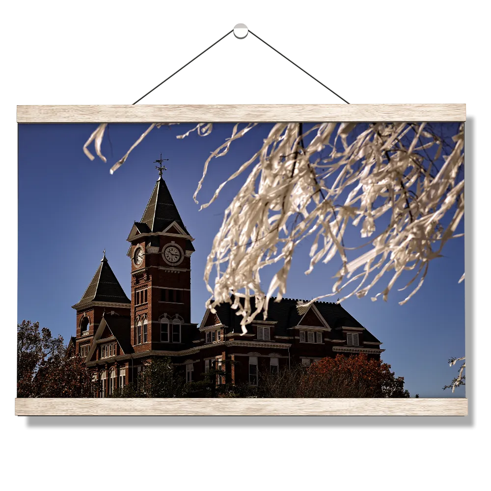 Auburn Tigers - Samford Toomers