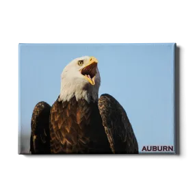 Auburn Tigers - War Eagle