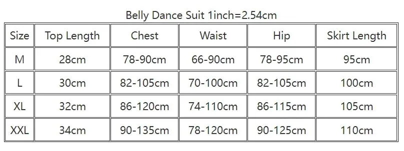 Belly Dance Professional Costumes Set Female Shining Performance Clothing Short Sleeves Top long Skirt 2pcs Oriental Dance Wear