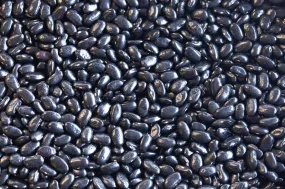 Chiapas Black Bean (Frijol Negro de Vara)