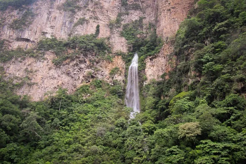 Chiapas Black Bean (Frijol Negro de Vara)