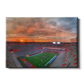 Florida Gators - Gator Sunrise