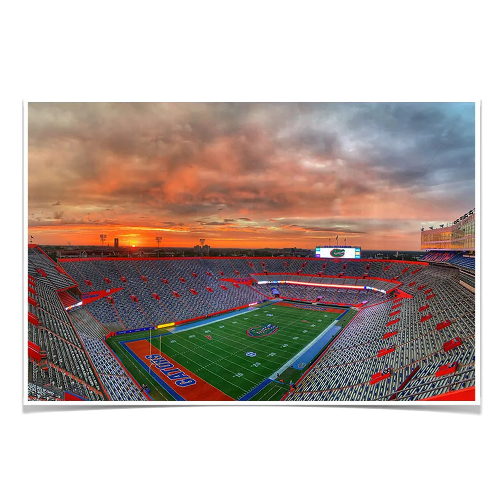 Florida Gators - Gator Sunrise