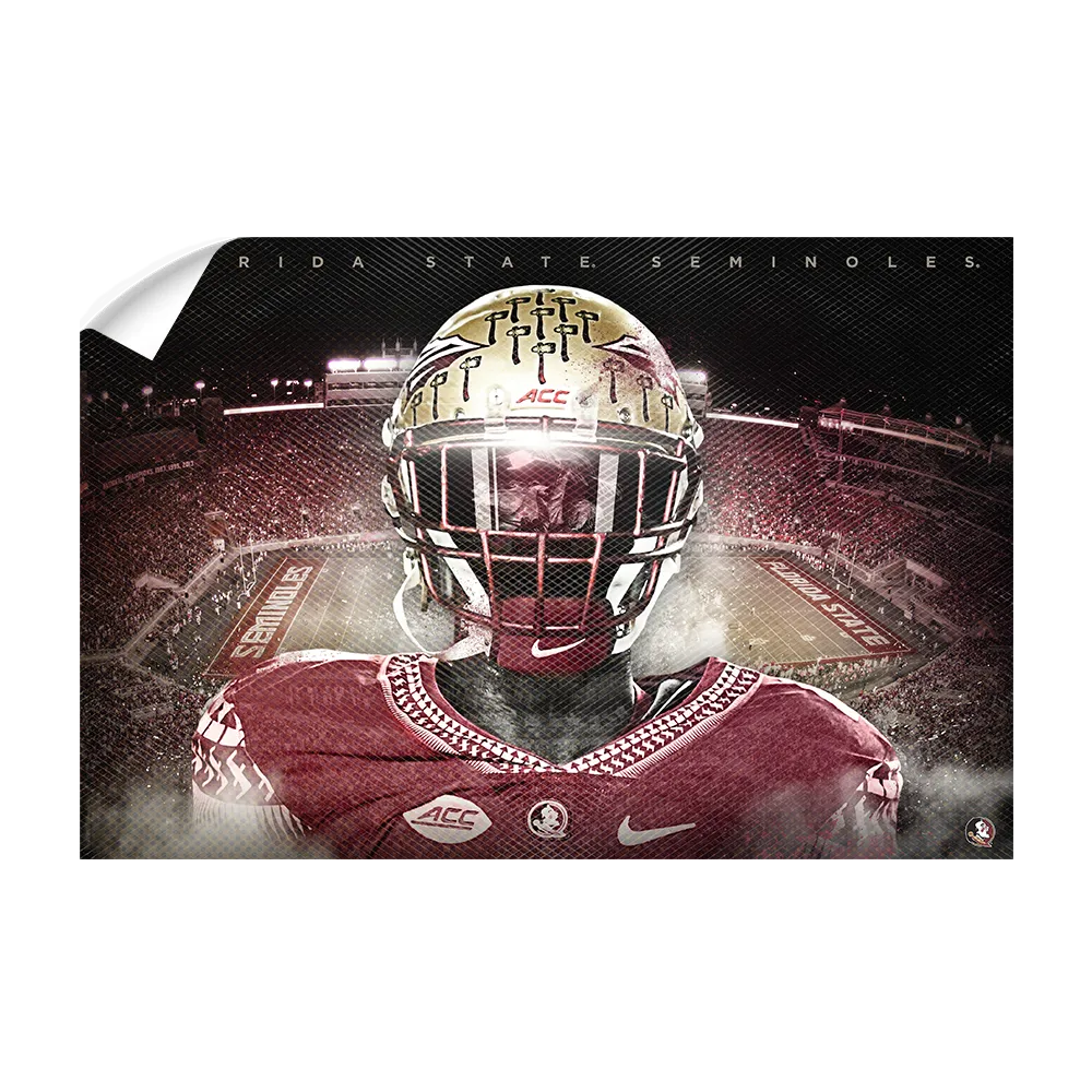 Florida State Seminoles - Seminole