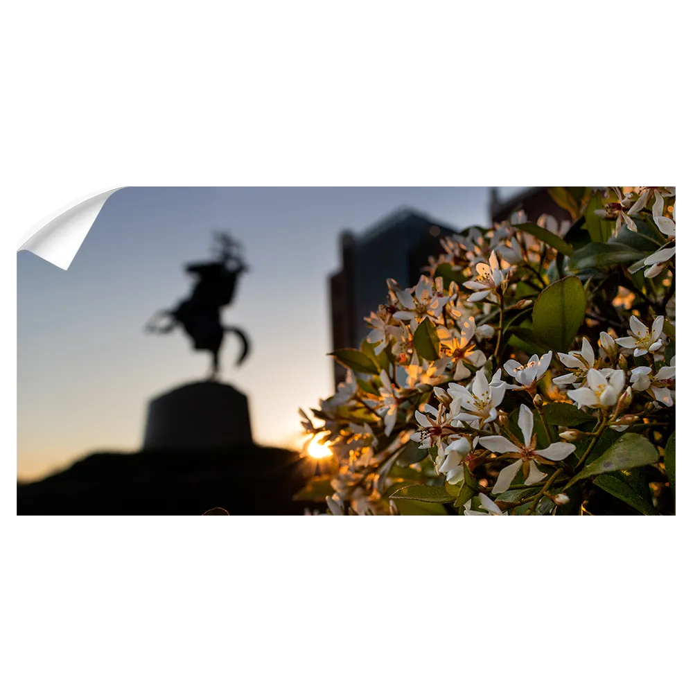 Florida State Seminoles - Unconquered Sunset Panoramic