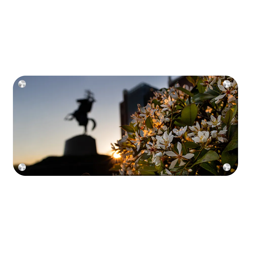 Florida State Seminoles - Unconquered Sunset Panoramic