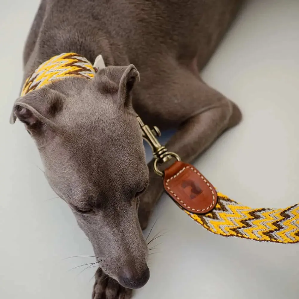 Hundeleine im Boho-Style - "Yellow zikzag leash" - Buddys