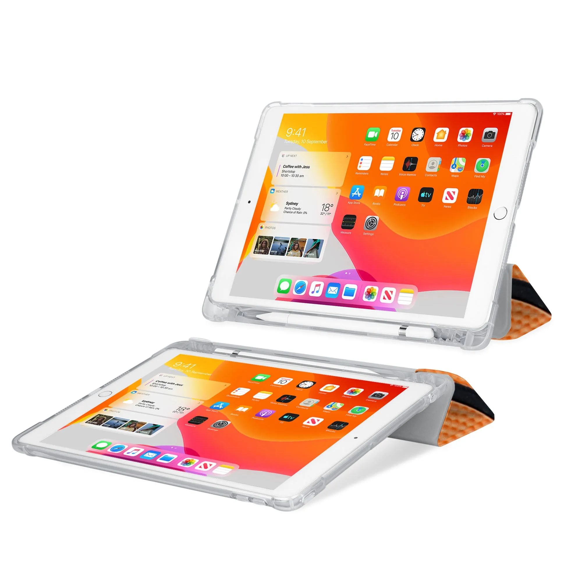 iPad SeeThru Case - Sport