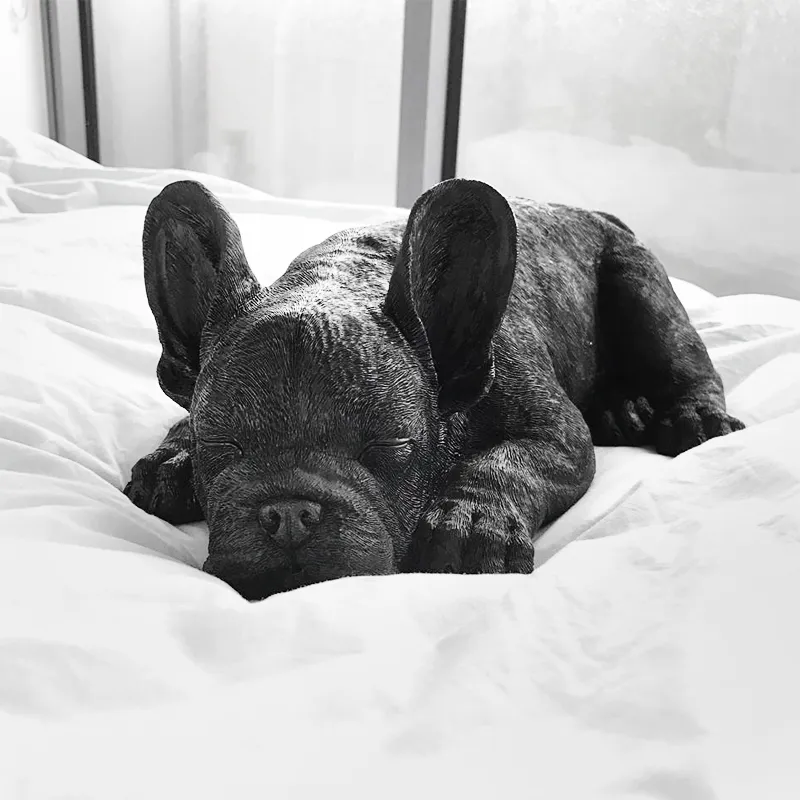 J White Moose Sleeping Frenchie Dog