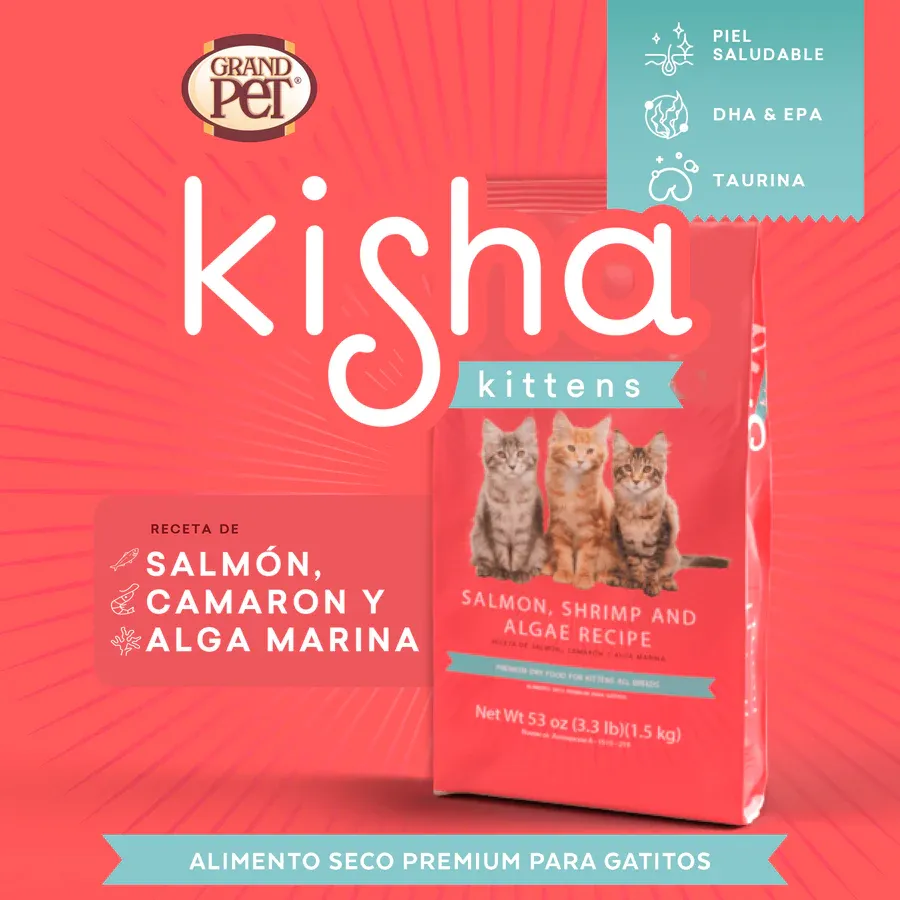 Kisha Alimento para Gatitos